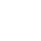 Silorise™ - Security